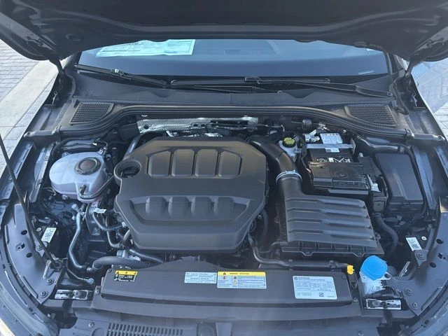 image-19