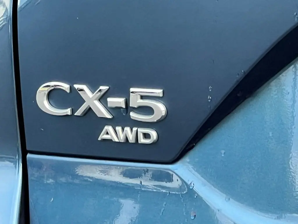 image-5