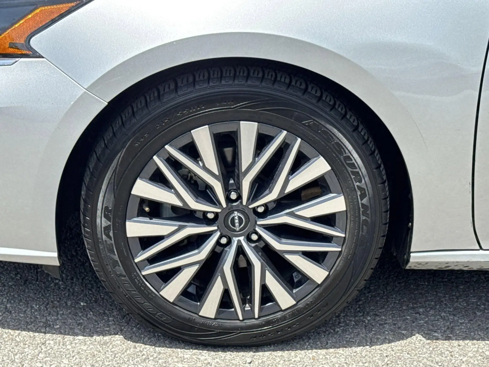 image-19