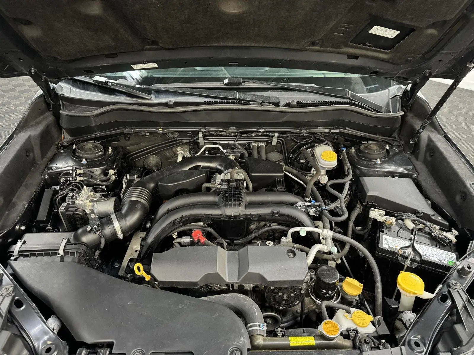 image-8