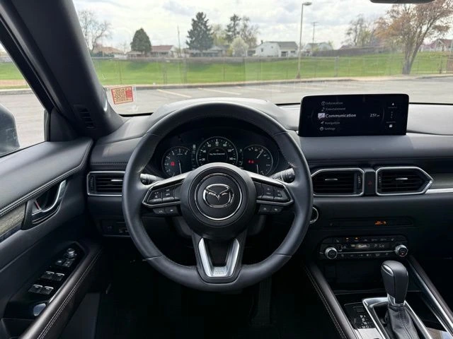 image-11