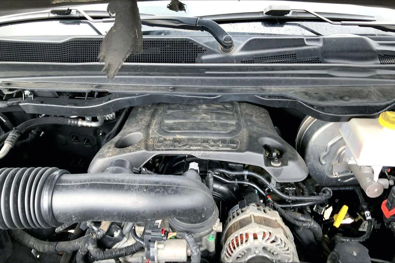 image-8