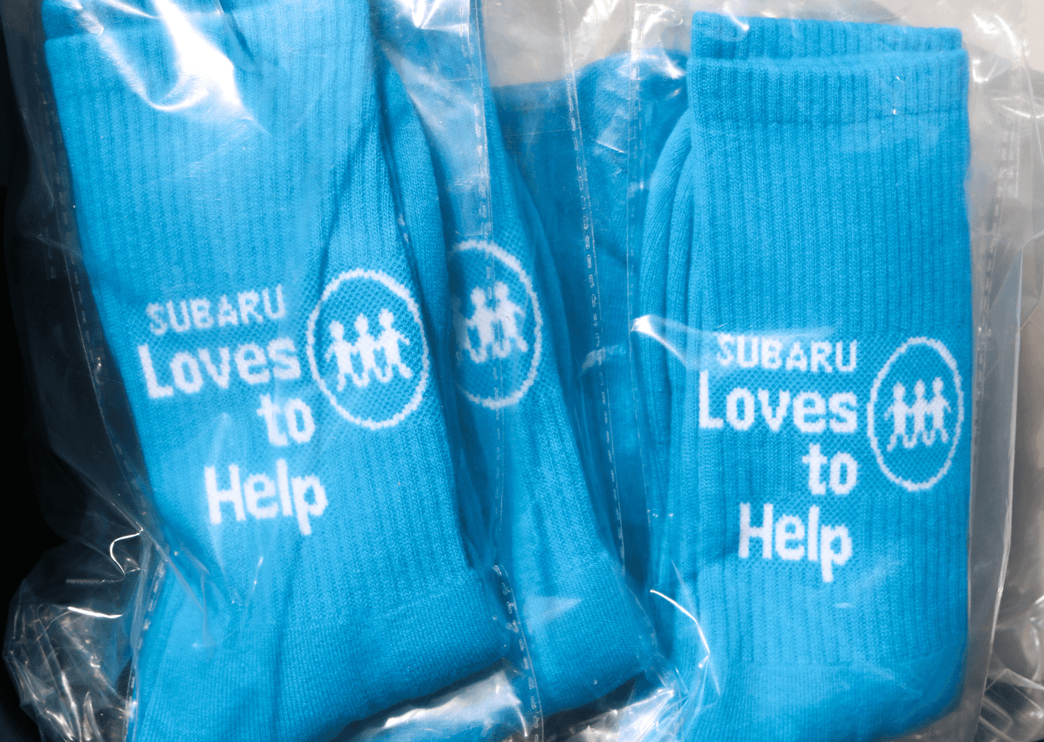 Subaru Loves to help