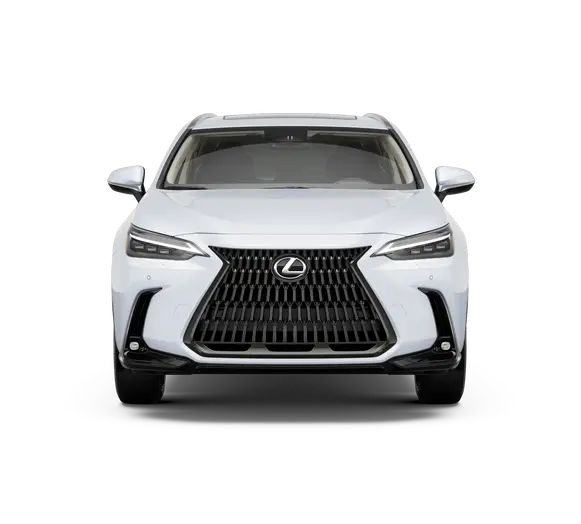2026 Lexus NX Luxury AWD photo 5