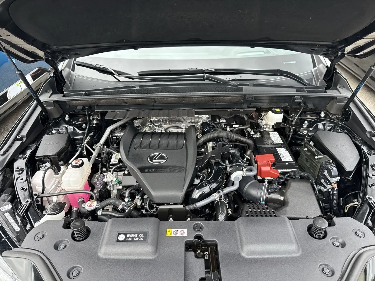 image-16