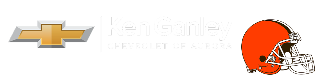 Dealer Logo Primary