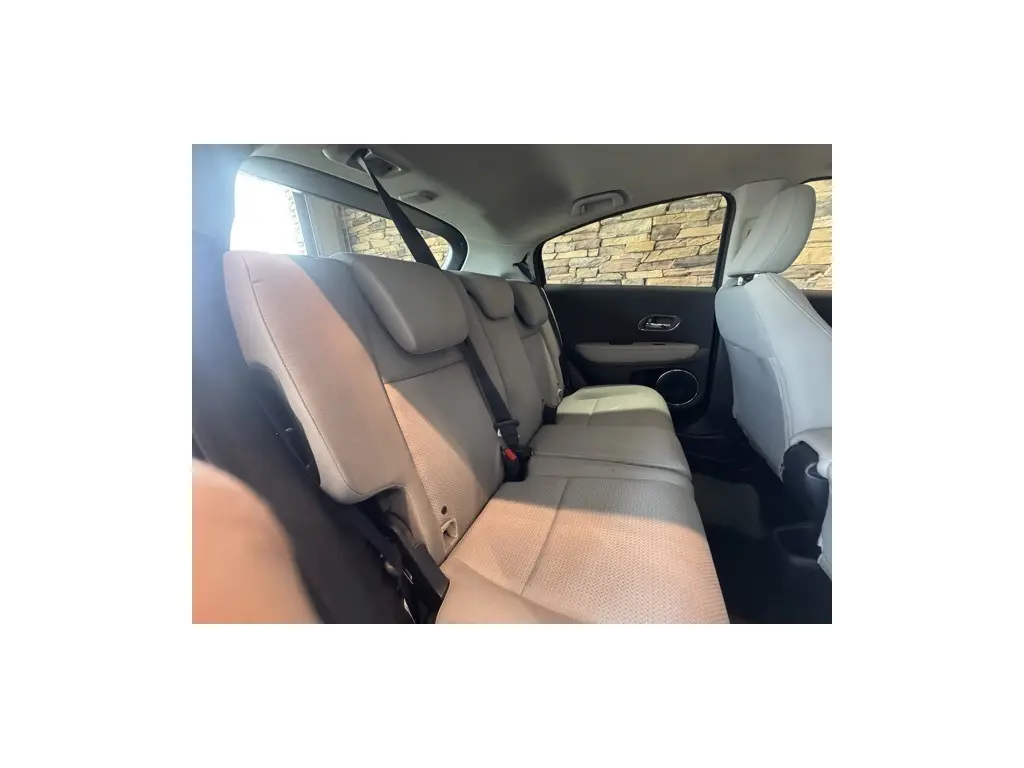 image-15