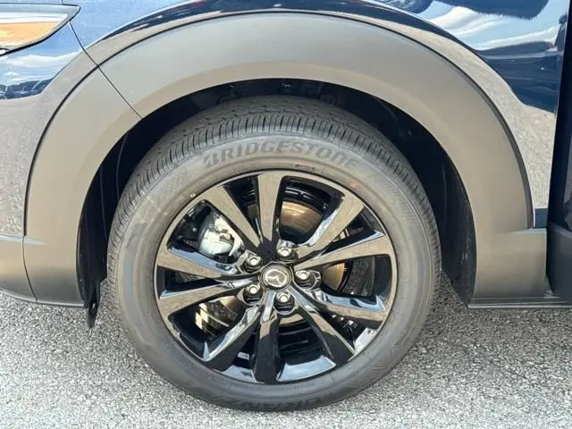 image-19
