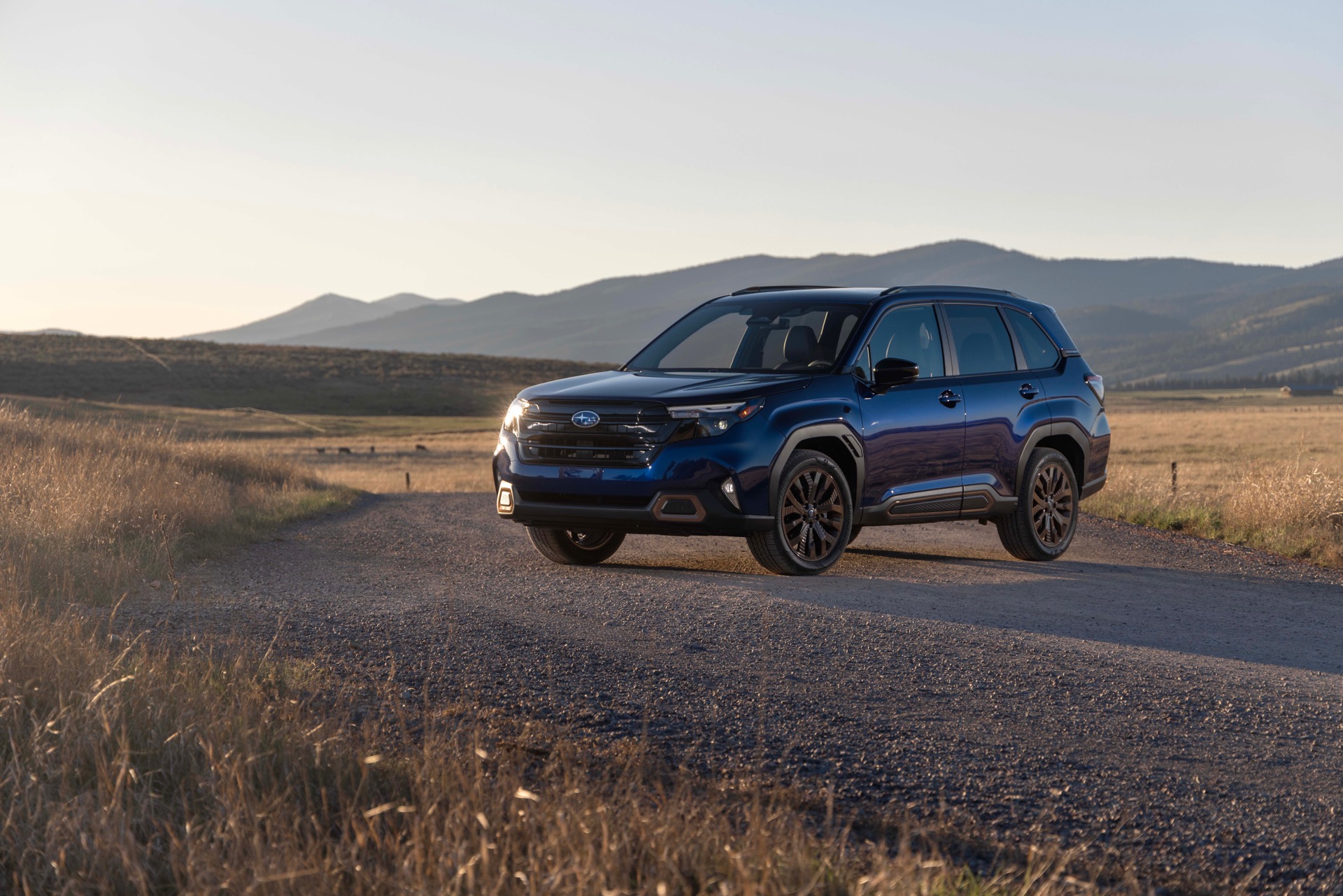 Subaru Forester is named as a good car for young drivers