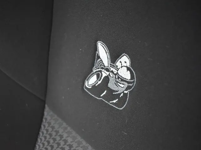 image-19