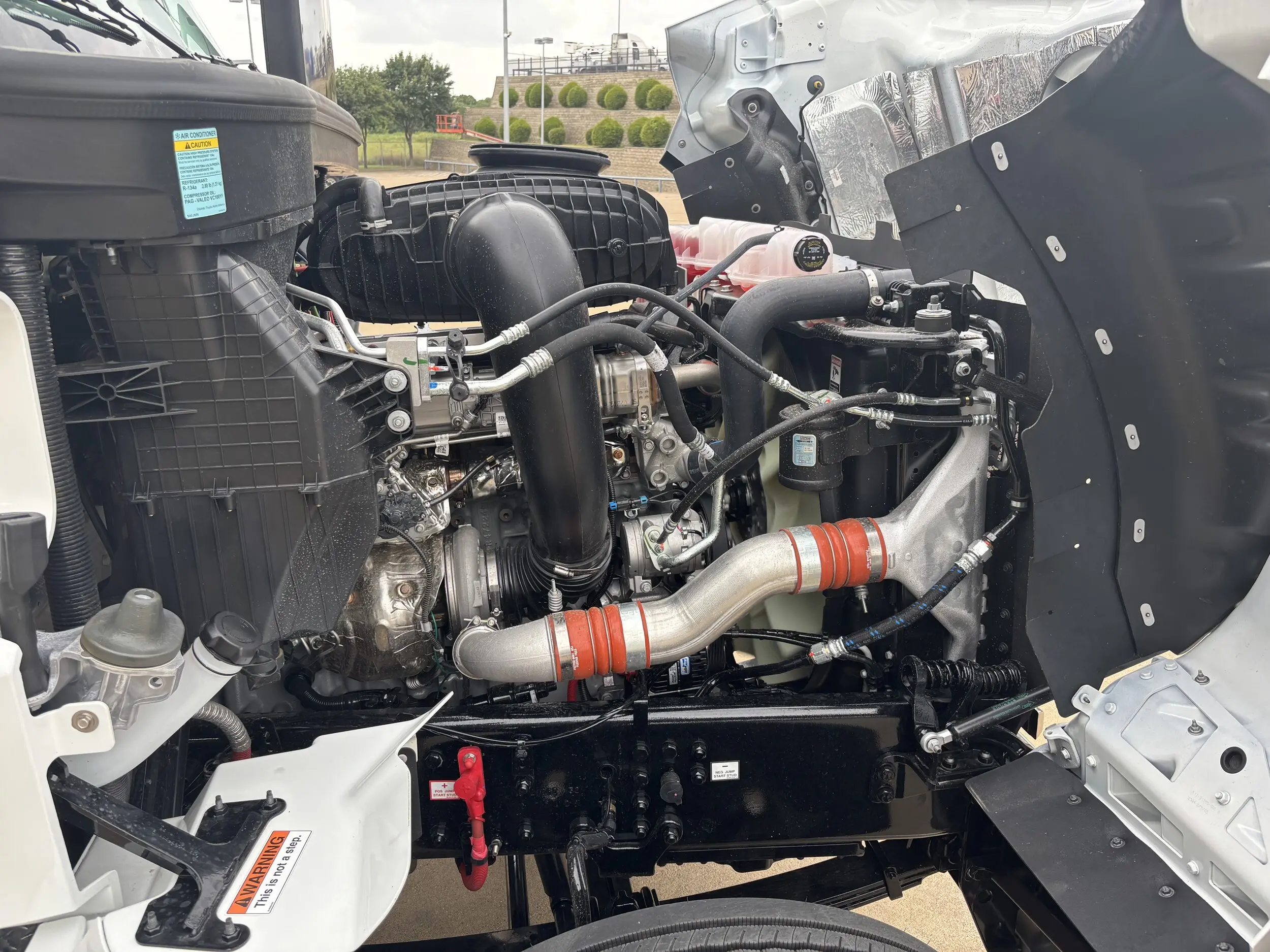 image-11