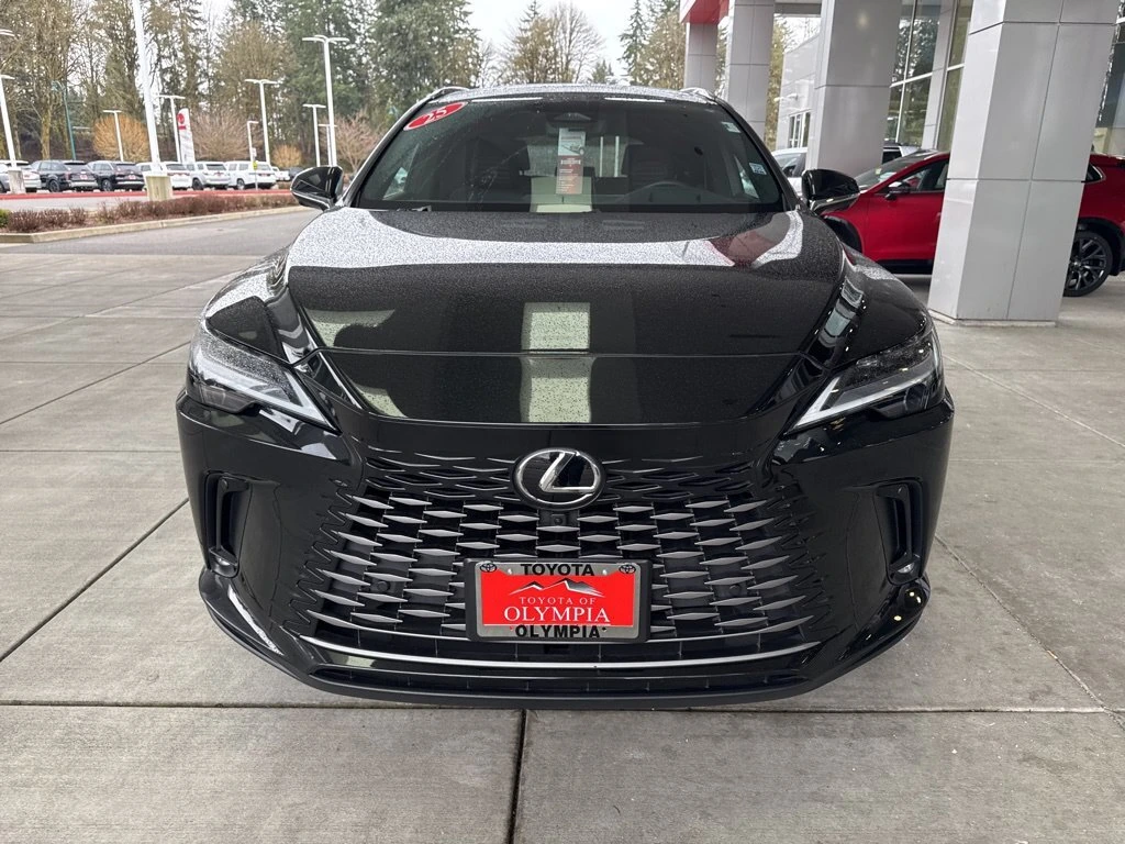 2025 Lexus RX Hybrid 350h - Photo 12