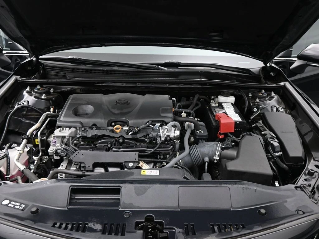 image-19
