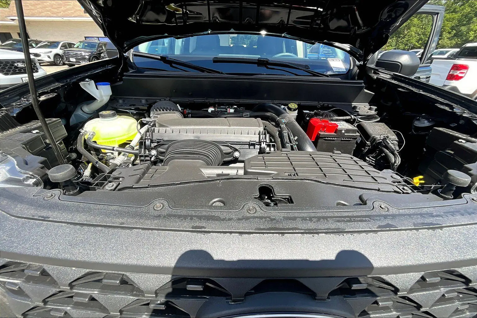 image-10