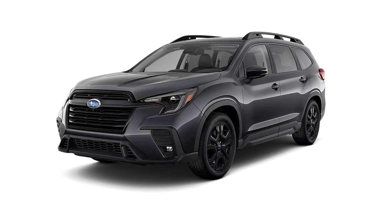 Magnetite Gray Metallic