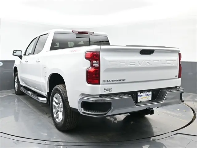 image-11