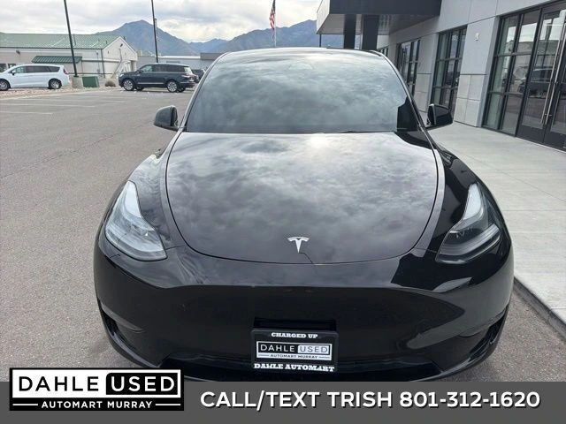 2023 Tesla Model Y Performance Dual Motor All-Wheel Drive's photo