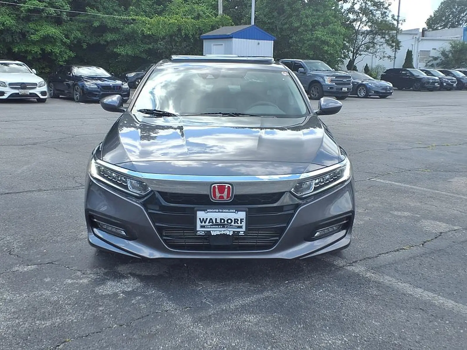 image-7