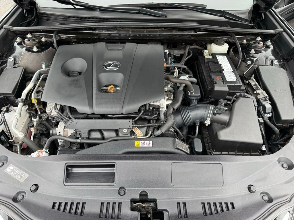 image-17