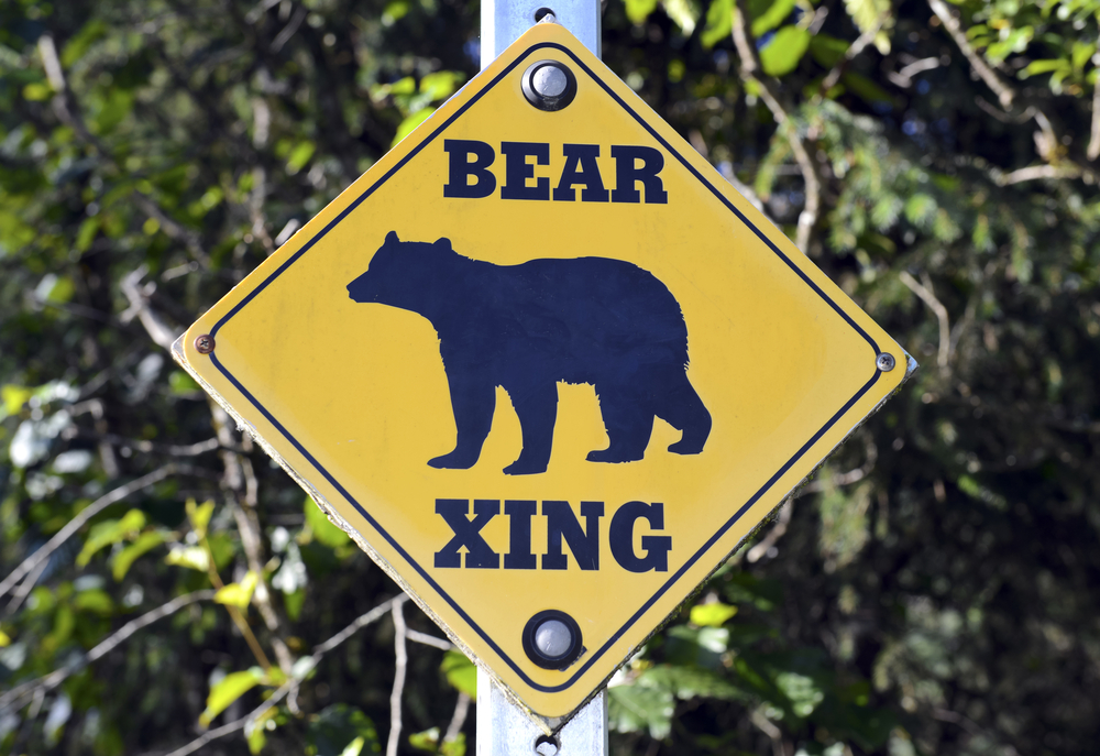 yellow and black bear crossing sign