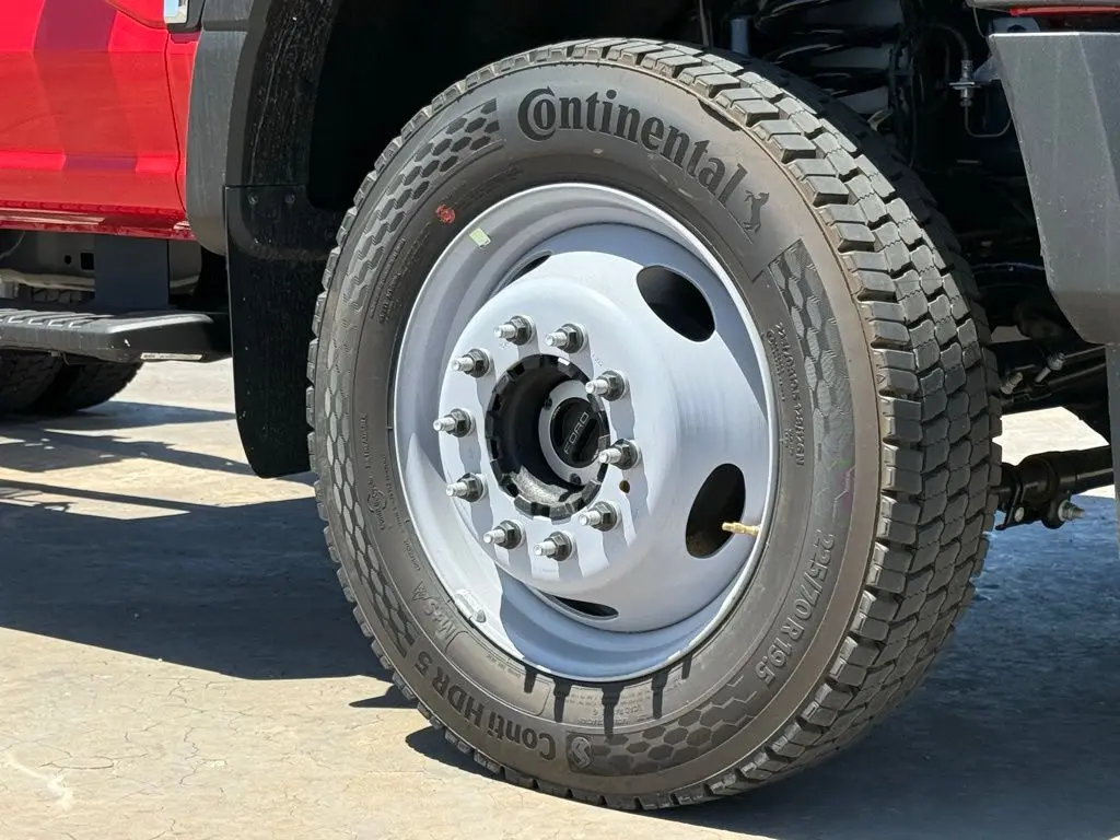 image-11