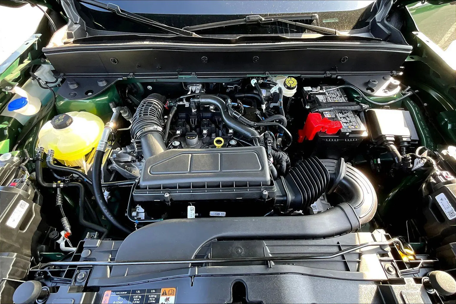 image-10