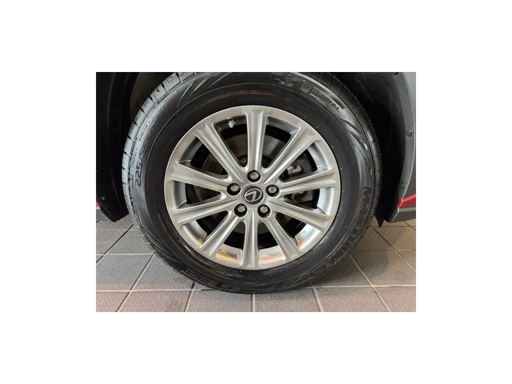 image-7