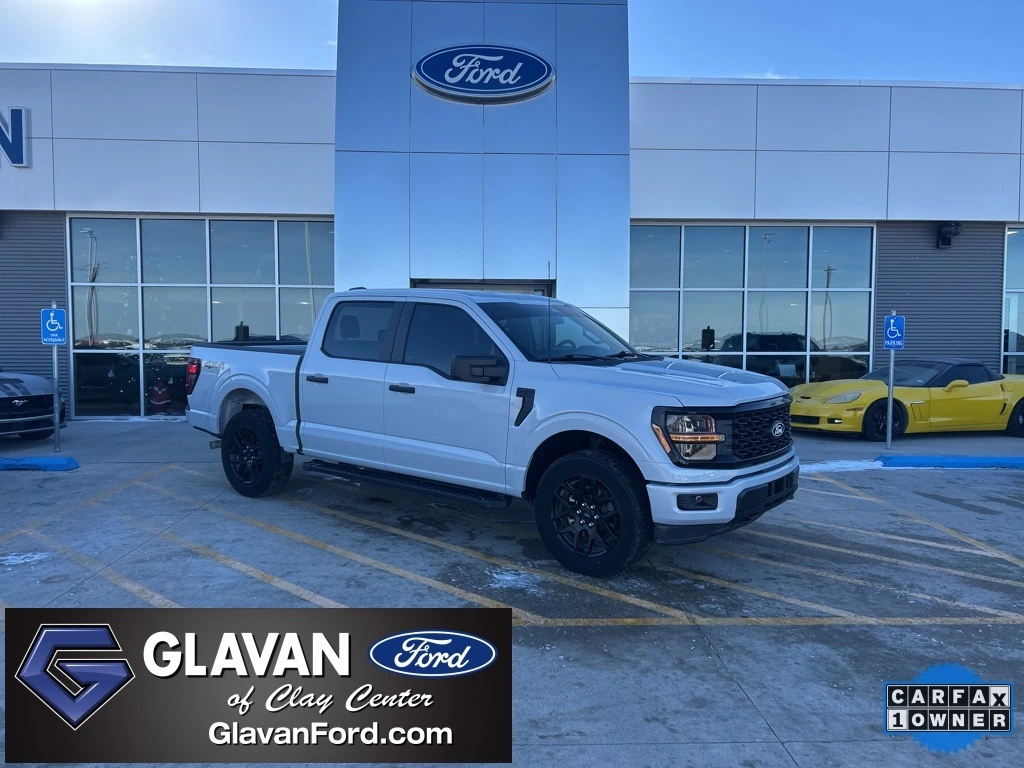 2025 Ford F-150 STX's photo