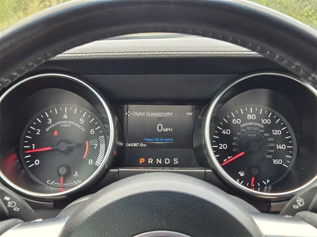 2019 Ford Mustang EcoBoost Premium photo 13
