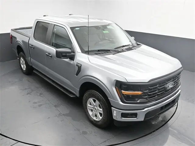 image-19