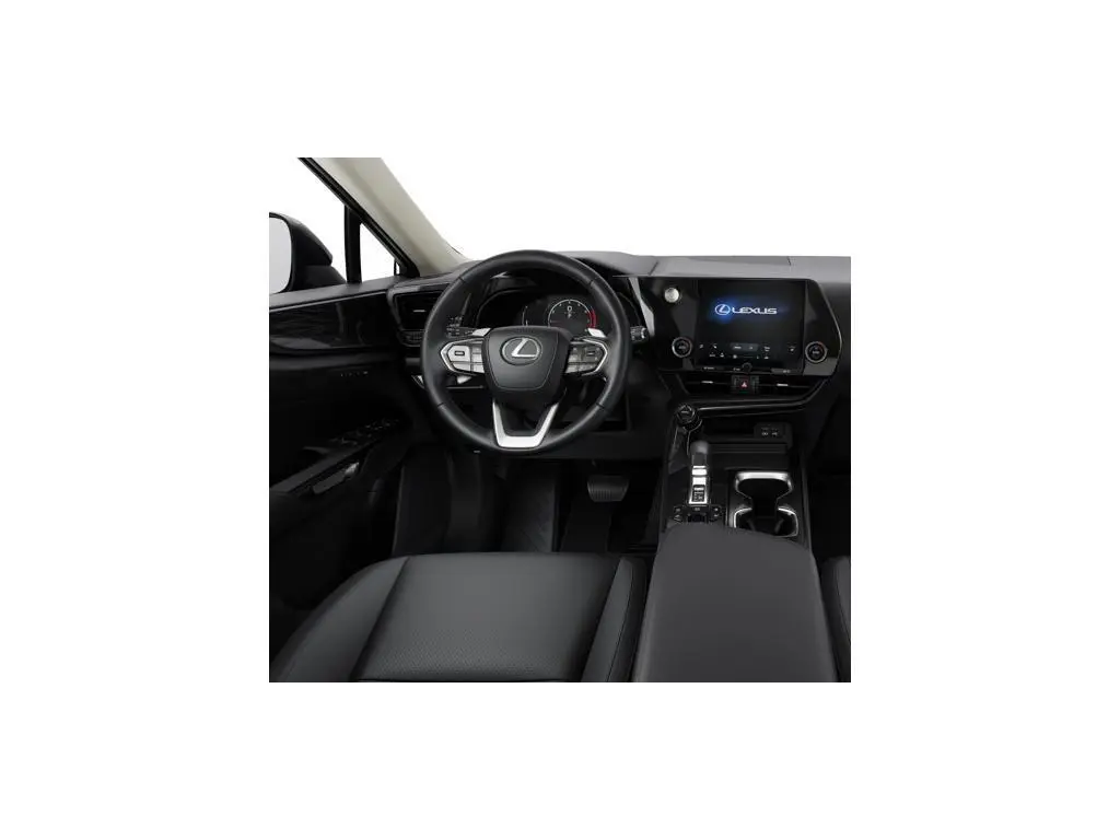 image-12