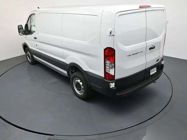 image-19