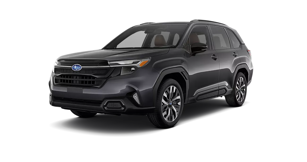 Magnetite Gray Metallic