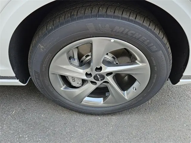 image-19