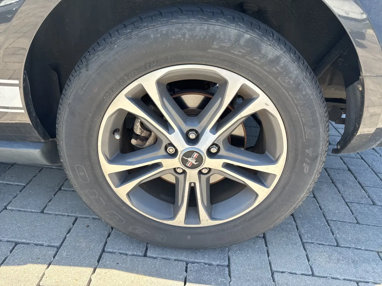 image-6