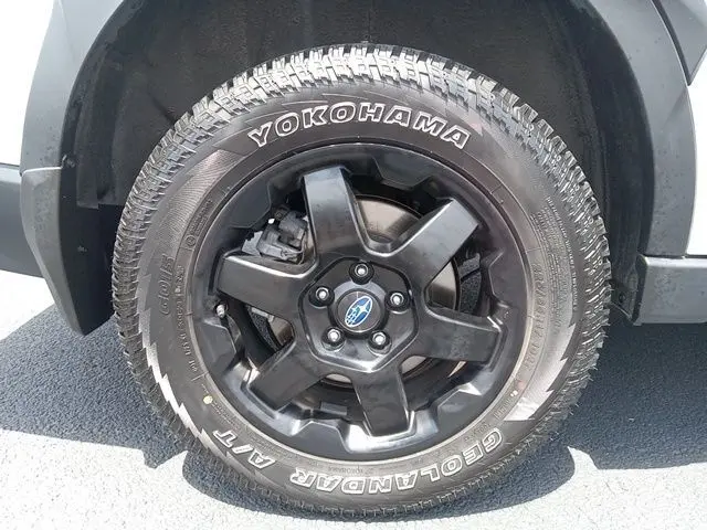image-7