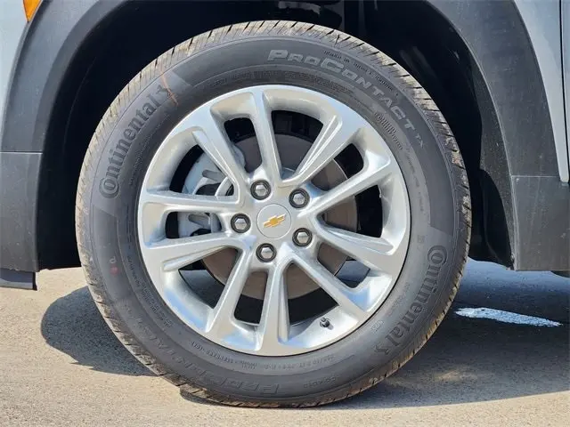 image-7