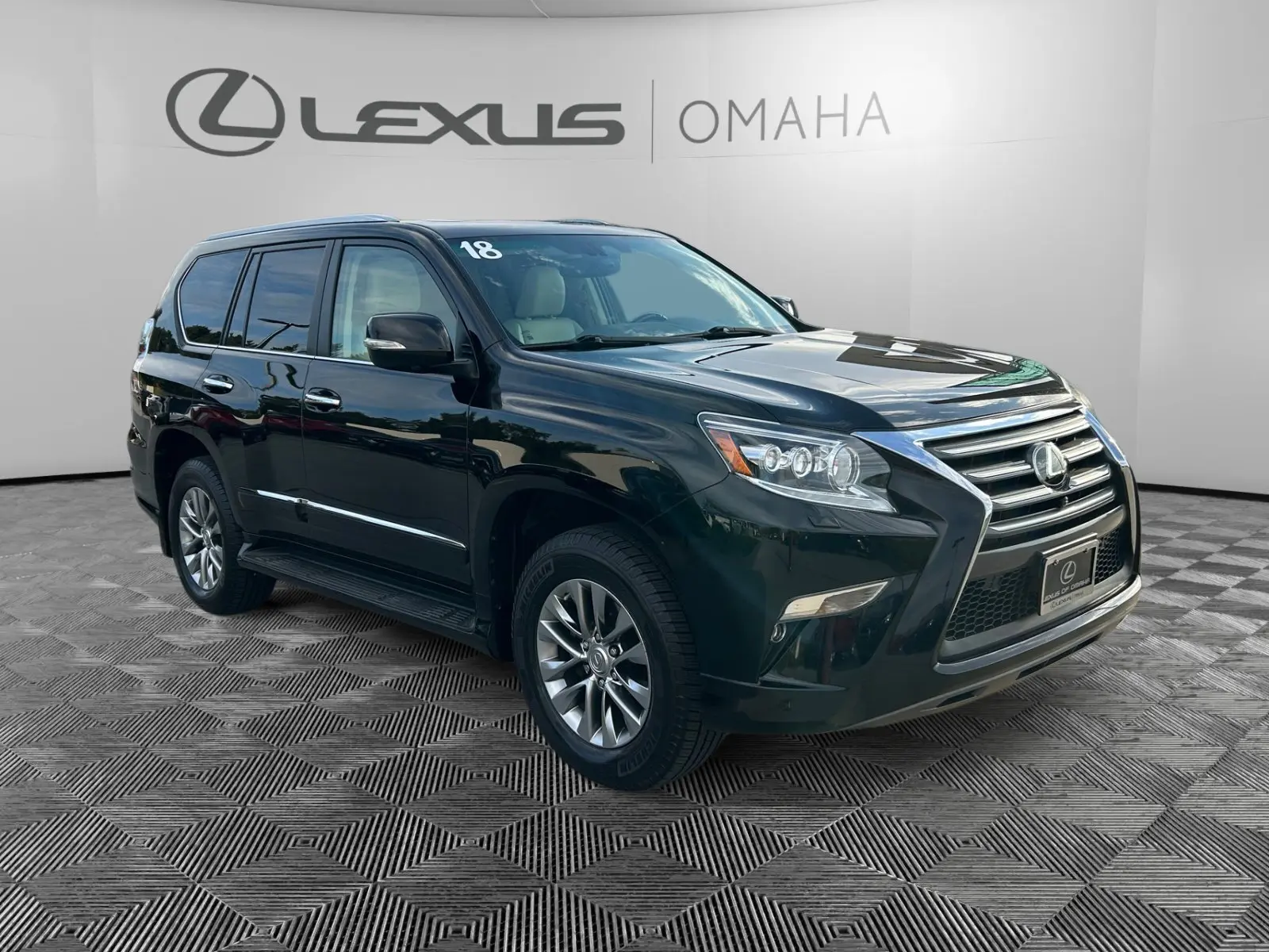2019 Lexus GX 460 photo 10