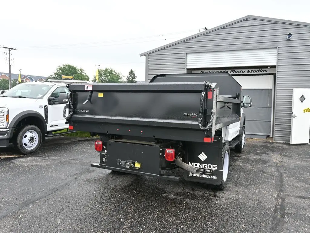image-12