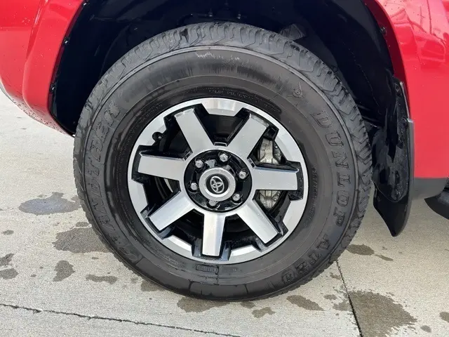image-9