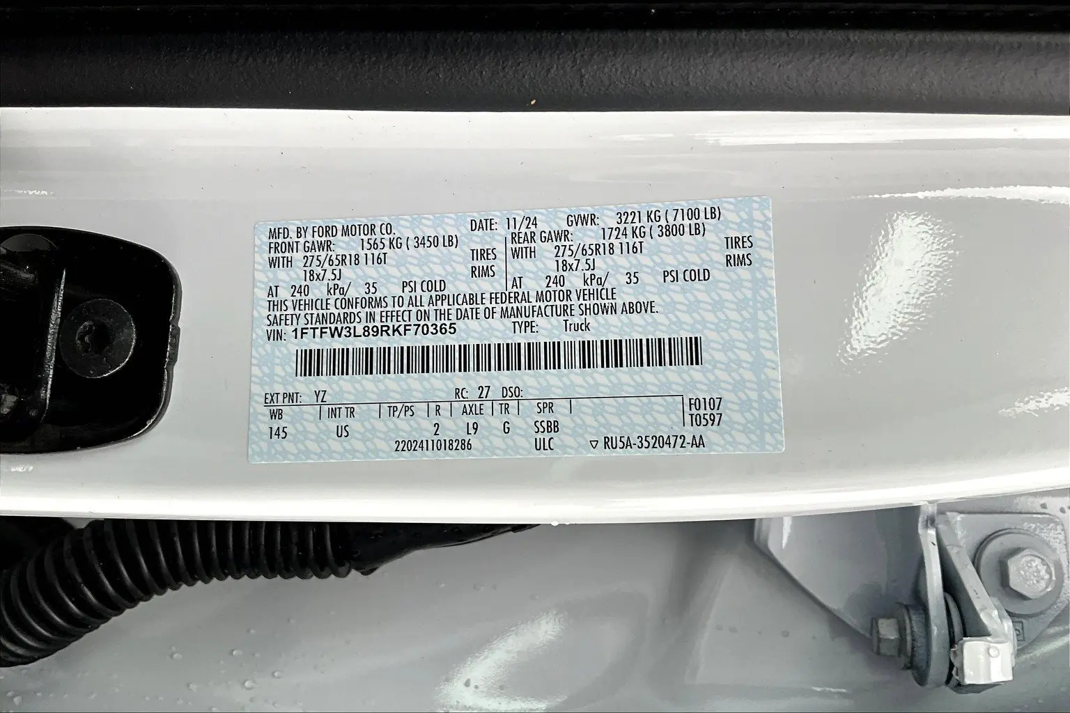 image-19