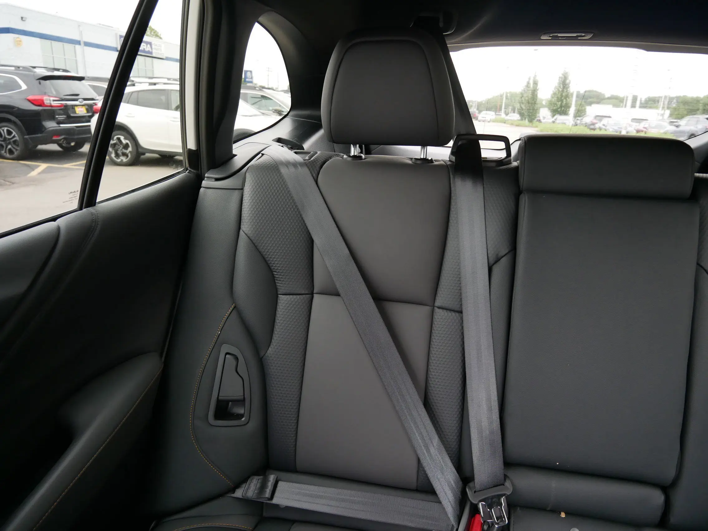 image-11