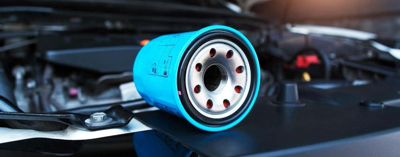 Blue oil filter sitting on an engine