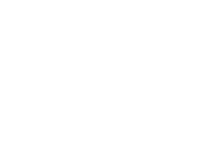Interior Protection Icon
