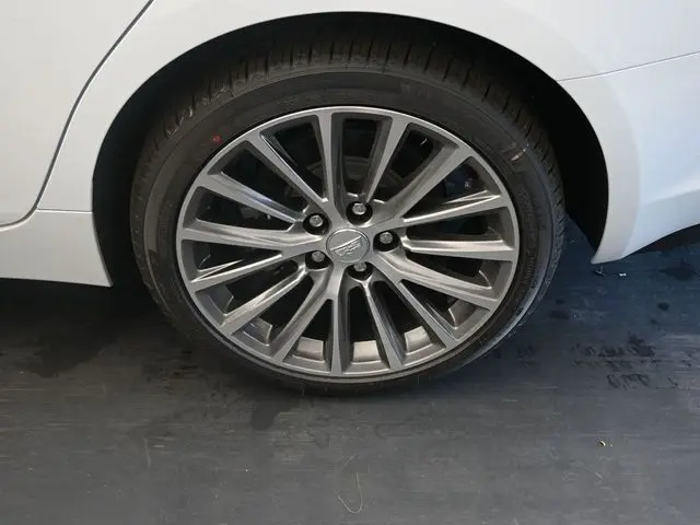 image-11