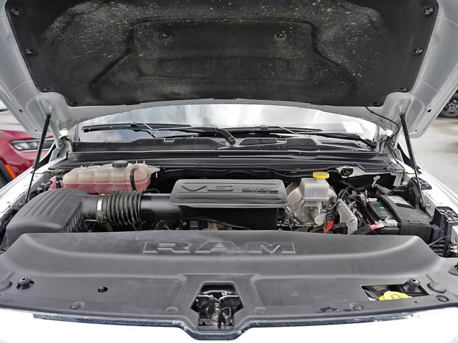 image-7