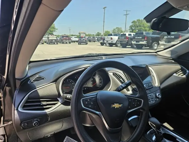 image-12