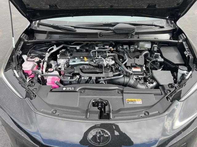 image-14
