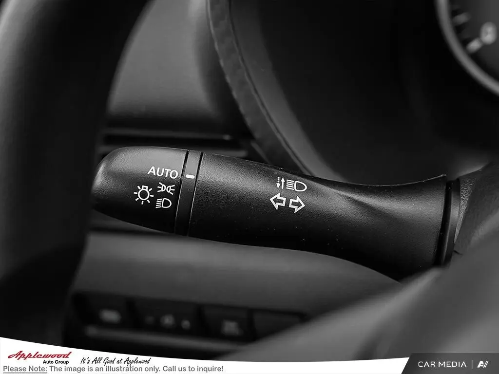 image-19