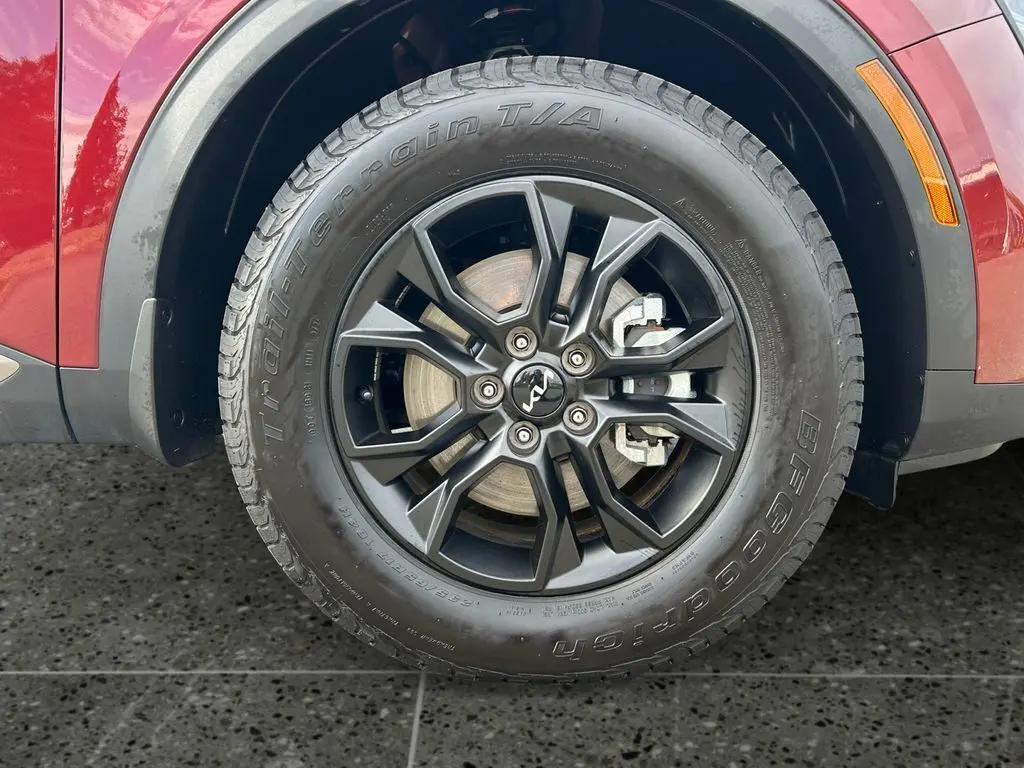 image-8